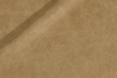 Blond Wood