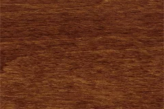 Burnished Honey