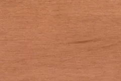 Cinnamon Stick