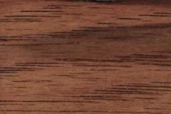 Southern Pecan