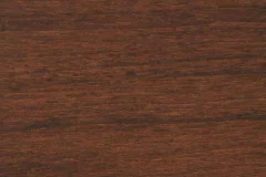 Southern Pecan