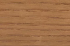 Summer Sun