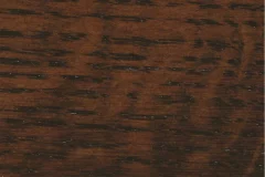 Winter Bark
