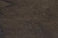 Forest Black