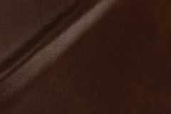 Nutmeg