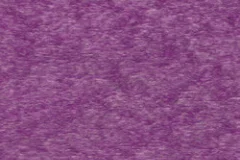 Bright Purple