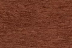 Southern Pecan