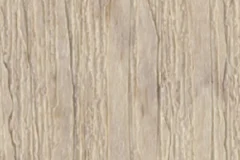 Birch