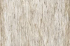 Birchwood color