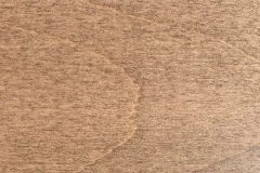 Fossil