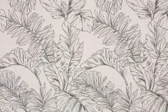 Calm Graphite