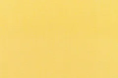 Canvas Buttercup
