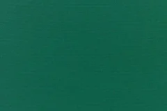 Canvas Forest Green