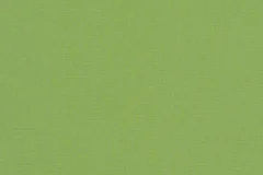 Canvas Ginkgo fabric