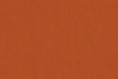 Canvas Rust