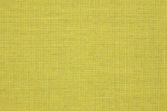 Cast Citrus fabric