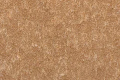 Cedar