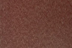 Chestnut Brown