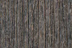 Coastal Gray