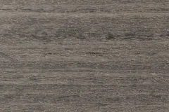 Coastal Gray