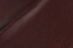 Garnet