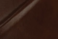 Nutmeg