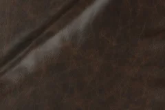 Outrider