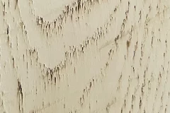 Almond
