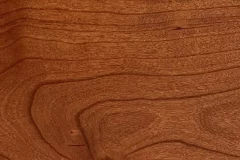 Cinnamon Stick
