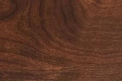 Southern Pecan