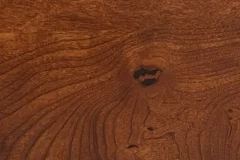 Terra Cotta