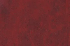 Scarlet