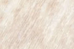 Seashell color