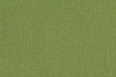 Spectrum Cilantro