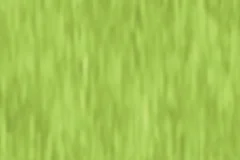 Lime Green color