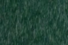 Turf Green color