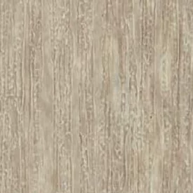 Birch color