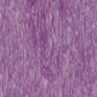 Bright Purple color