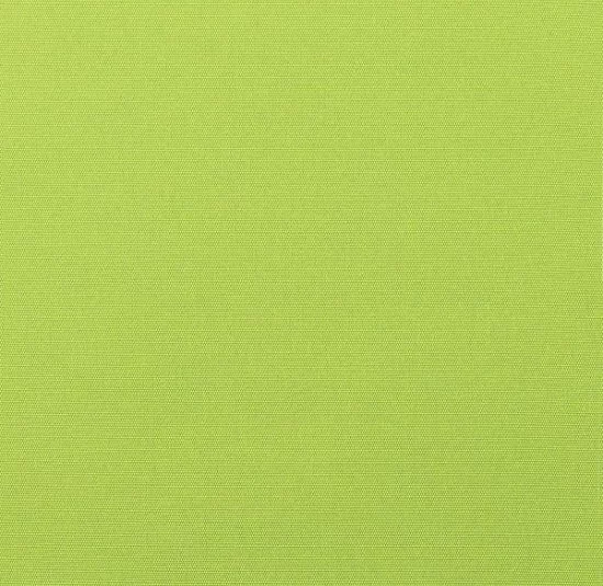 Canvas Macaw leather