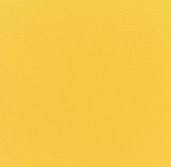 Canvas Sunflower  leather