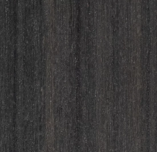 Coastal Gray color