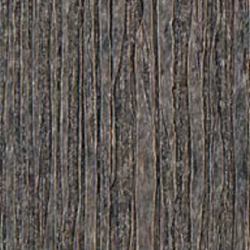 Coastal Gray color