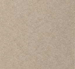 Light Gray color