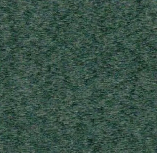 Evergreen color