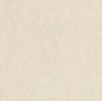 Ivory color