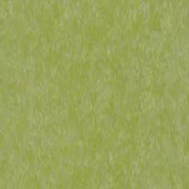 Lime Green color