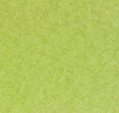 Tropical Lime Green color