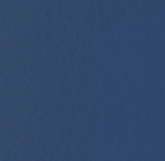 Navy Blue color