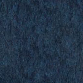 Patriot Blue color