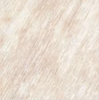 Seashell color